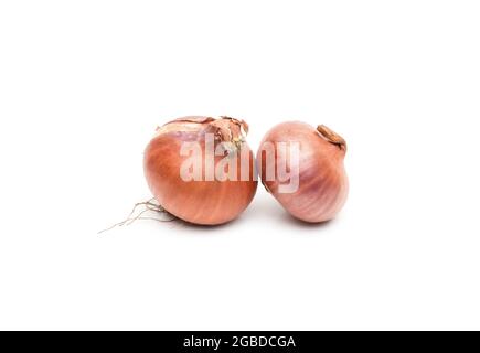 Two isolated onions close up on white background Stock Photo