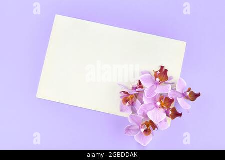 Blank paper with orchids on a blue background, copy space. Stock Photo