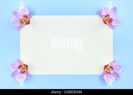 Blank paper with orchids on a blue background, copy space. Stock Photo