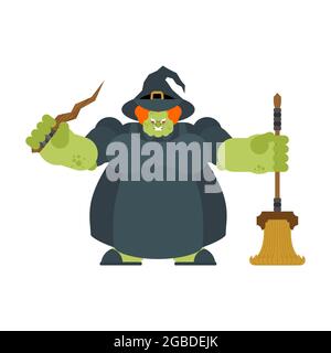Evil witch isolated. Angry sorceress. vector illustration Stock Vector