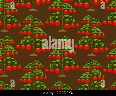 Tomato bush pattern seamless. Tomatos background. vector texture Stock Vector