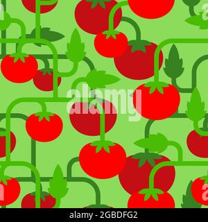 Tomato bush pattern seamless. Tomatos background. vector texture Stock Vector