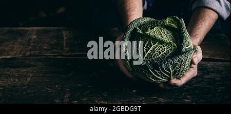 From above of crop unrecognizable male with ripe green Savoy cabbage at old wooden table Stock Photo