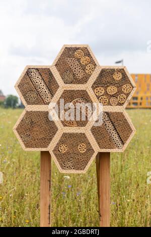 Insect hotel hexagon made of natural materials like wood with holes, bamboo sticks and straws for a better biodiversity in Breda city on a green grass Stock Photo