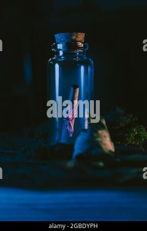 Low key Image of a glass stopper bottle in the dark containing a rolled-up brown piece of paper with a pink thread Stock Photo