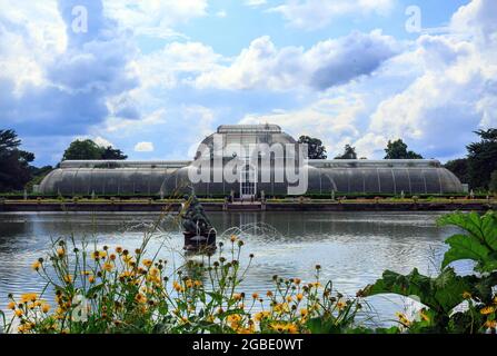 Palm House, Kew Gardens, London, 2021.  The palm house is an indoor rainforest which houses many threatened trees and plants from around the world.  I Stock Photo