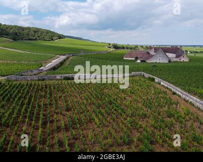 Aerian view on walled green grand cru and premier cru vineyards with rows of pinot noir grapes plants in Cote de nuits, making of famous red and white Stock Photo