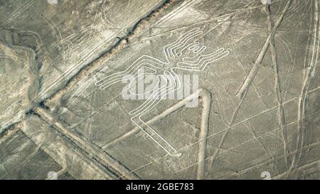 The Spider Nazca ancient mysterious geoglyph. Nazca lines as seen from the aircraft. Nazca lines are landmarks of Peru Stock Photo