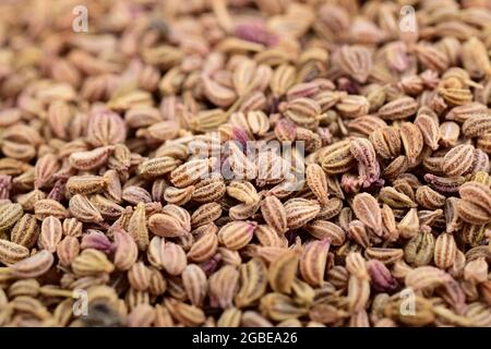 Ajwain Also Know as Ajowan, Caraway , macro , close up Stock Photo