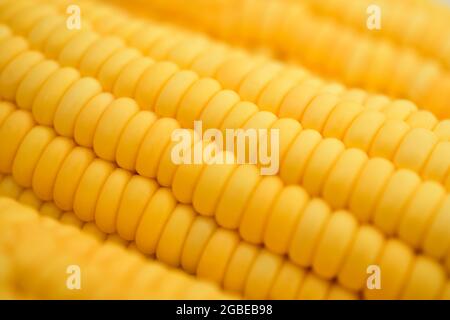 Closeup Of Corn Texture Stock Photo