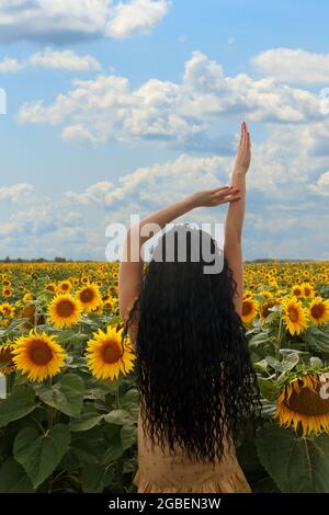young female with black curly hair in yellow dress stay in sunflower field, showing back and hair Stock Photo