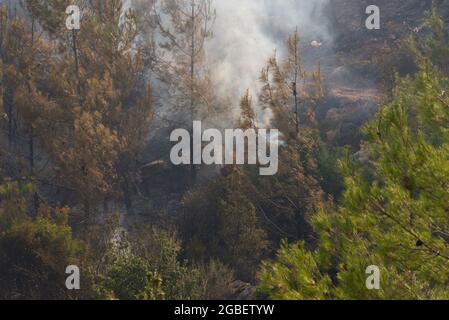Mugla, Turkey - August 1, 2021. Active forest fire at Mugla Bodrum Turkey Stock Photo