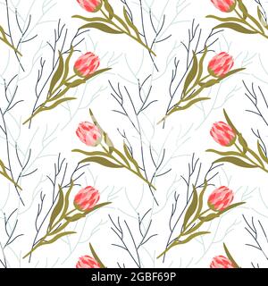 Pattern with pink protea and abstract branches. Floral pattern on a white background. Stock Vector