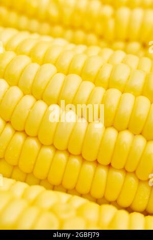 Closeup Of Ripe corn texture Stock Photo