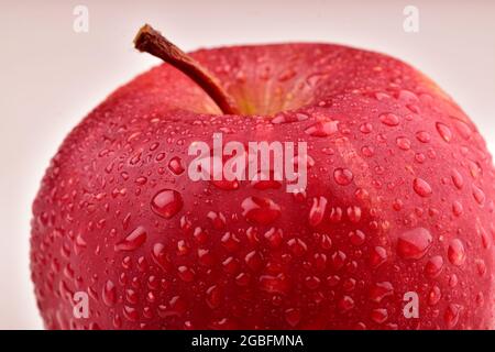 Closeup Of Wet and Fresh Apple On White Background Stock Photo