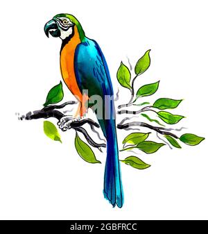 Children S Drawing Bird on a Tree Stock Illustration - Illustration of  singing, green: 59200926