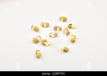 Closeup Of Sprouted Mung Beans Isolated On White Background Stock Photo