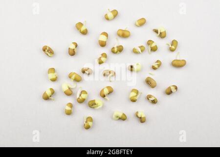 Top View Of Scattered  sprouted Mung Beans On White background Stock Photo