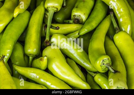 Capsicum, Banana Pepper in Nuwara Eliya, Sri Lanka Stock Photo