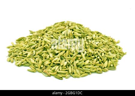 Fennel Seeds Isolated On White Background With Clipping Path, Fresh Green Fennel Seeds Stock Photo
