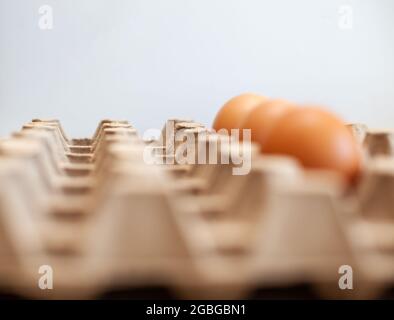 A few brown eggs among the empty cells of a large cardboard bag, a chicken egg as a valuable nutritious product, a tray for carrying and storing fragi Stock Photo