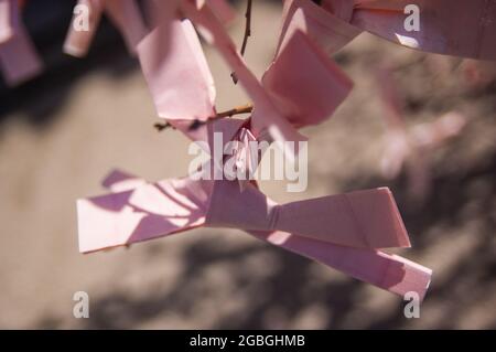 Closeup of Japanese Paper prayers Omikuji tied to tree Stock Photo
