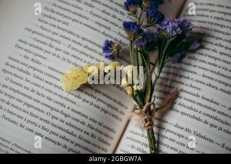 Closeup of dried wildflowers on an open book - perfect for aesthetic backgrounds Stock Photo