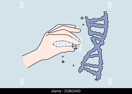 Generic engineering science research concept. Human hand holding putting cells to human dna structure ober blue background vector illustration  Stock Vector