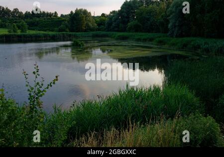 Sunset over Zabie Doly natural complex in Bytom (SL) Poland Stock Photo