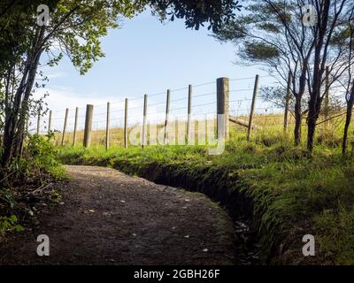 wire boundary farm fence with wooden posts in park Stock Photo