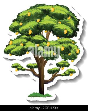 A mango tree sticker on white background illustration Stock Vector