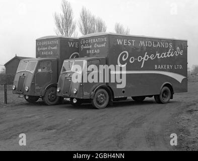 Two Dennis Pax delivery vans used for bread delivery for the West Midlands Co-operative Society bakery c.1955 – the vehicles were based at Newcastle, Staffordshire, England, UK. Dennis Brothers was founded in 1895 by the brothers Dennis brothers. The company made its first bus in 1903 and their first fire engine in 1908. The Pax chassis was introduced in 1952. The Co-operative Group (Co-op) has developed over the years from the merger of co-operative wholesale societies and many independent retail societies. Individual societies joined up to form the 'Co-operative Wholesale Society' (CWS). Stock Photo