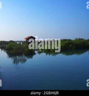 Purple Island, is an island located in the municipality of Al Khor on the northeast coast of QATAR Stock Photo