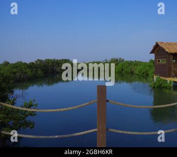 Purple Island, is an island located in the municipality of Al Khor on the northeast coast of QATAR Stock Photo