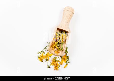 Dried Hypericum perforatum known as perforate St John's-wort plant flowers and leaf on wood spoon and scattered around on white background. Herbal med Stock Photo