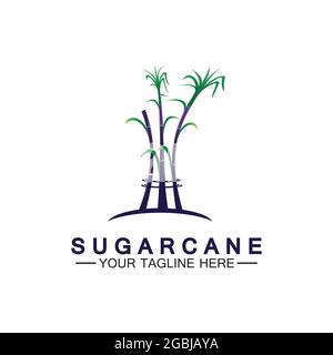 Sugar cane logo icon symbol vector illustration design template Stock Vector