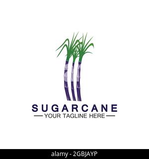 Sugar cane logo icon symbol vector illustration design template Stock Vector
