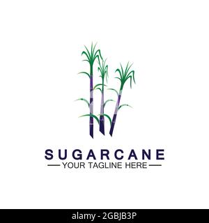 Sugar cane logo icon symbol vector illustration design template Stock Vector