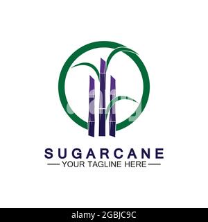 Sugar cane logo icon symbol vector illustration design template Stock Vector
