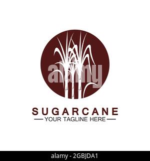 Sugar cane logo icon symbol vector illustration design template Stock Vector