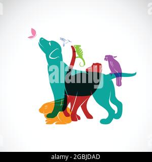 Vector group of pets - Dog, cat, parrot, chameleon, rabbit, butterfly, hummingbird isolated on white background, Vector pets for your design. Stock Vector
