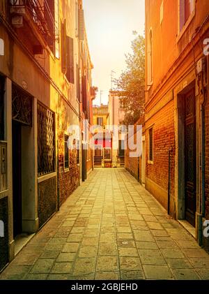 Alley In High Summer In Venice Stock Photo