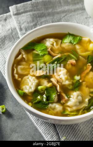 Homemade Asian Chicken Wonton Soup with Bok Choy Stock Photo