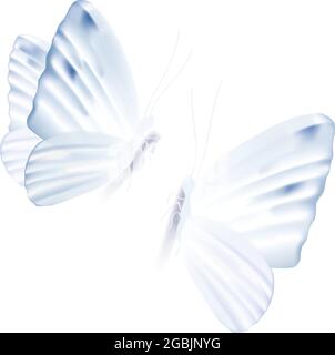 Vector illustration of two light blue butterflies isolated on white background. Abstract insects design elements Stock Vector