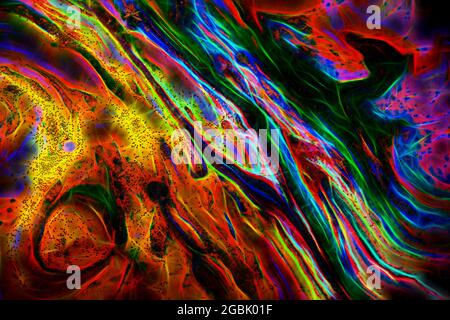 Multicolored colorful background of bright colors covered with gold sparkles. Stock Photo