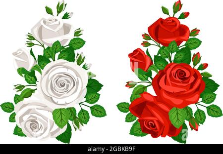 Red and white bouquets with buds of roses Stock Vector