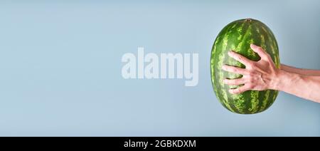 Young man keep whole watermelon in hands in white t-shirt on blue background. Mock up for design. Copy space. Stock Photo