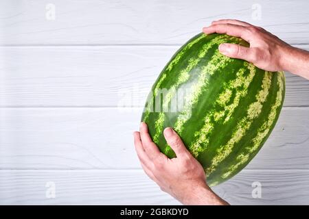 Young man keep whole watermelon in hands in white t-shirt on white wooden background. Mock up for design. Copy space. Stock Photo