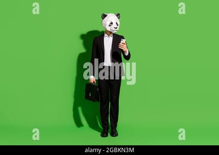 Photo of handsome corporate guy hold case phone wear panda mask black tux isolated on green color background Stock Photo