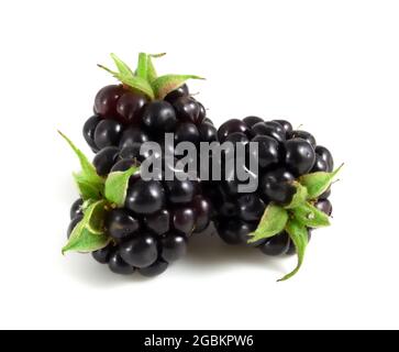 Fresh blackberries isolated on white background Stock Photo